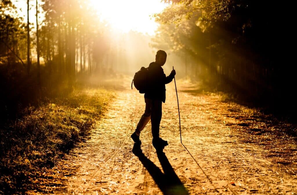 Exercising after attending rehab is useful for all sorts of reasons; it can help boost your mood, distract you from triggers, and many more!