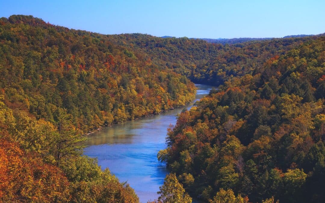 Opioid Detox, Rehab, and Treatment in Louisville, KY