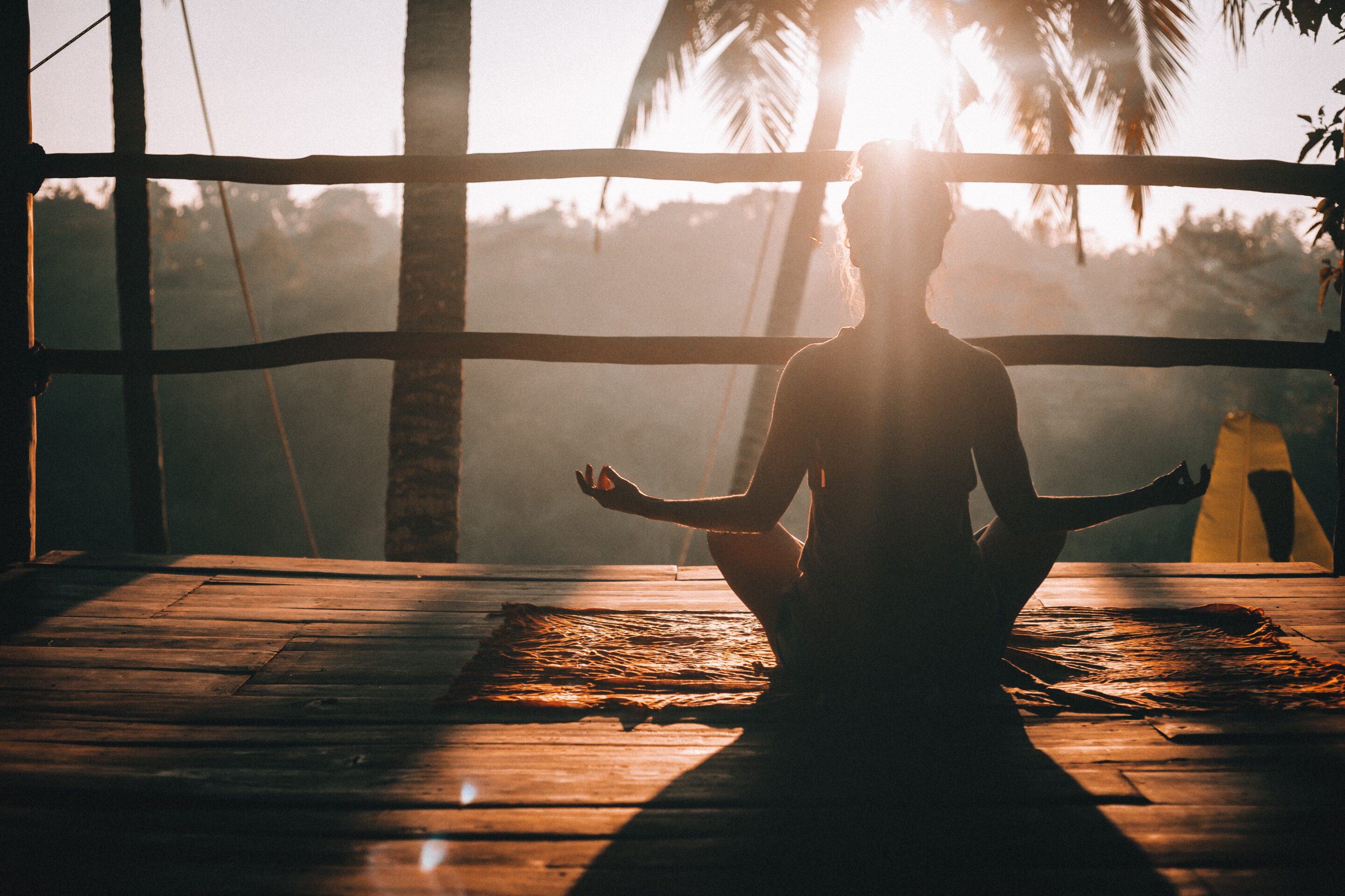Harnessing the Power of Holistic Healing