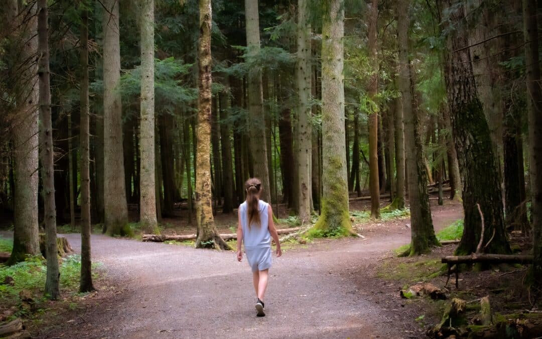 Charting the Course to Recovery: A Roadmap