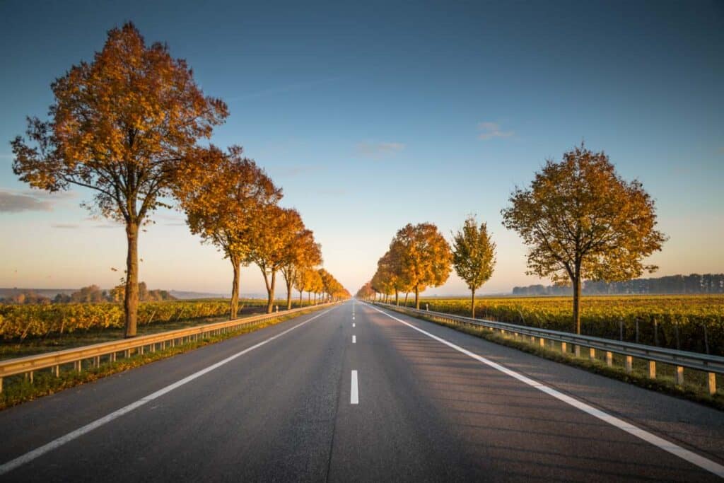 Charting the Course to Recovery: A Roadmap