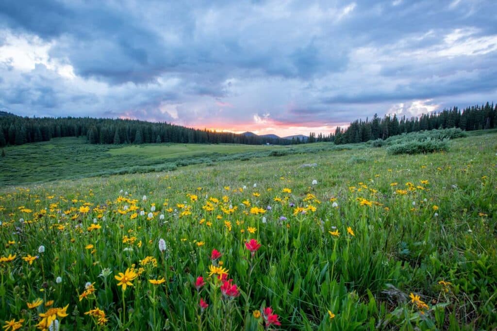 Reconstructing Your Life Post-Addiction