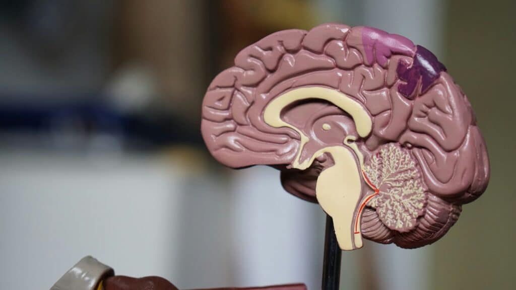 cognitive effects of PTSD