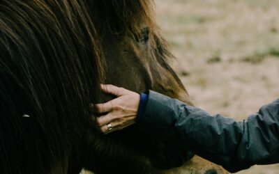 Healing Both Mental Health and Addiction Starts With Honest Self-Awareness