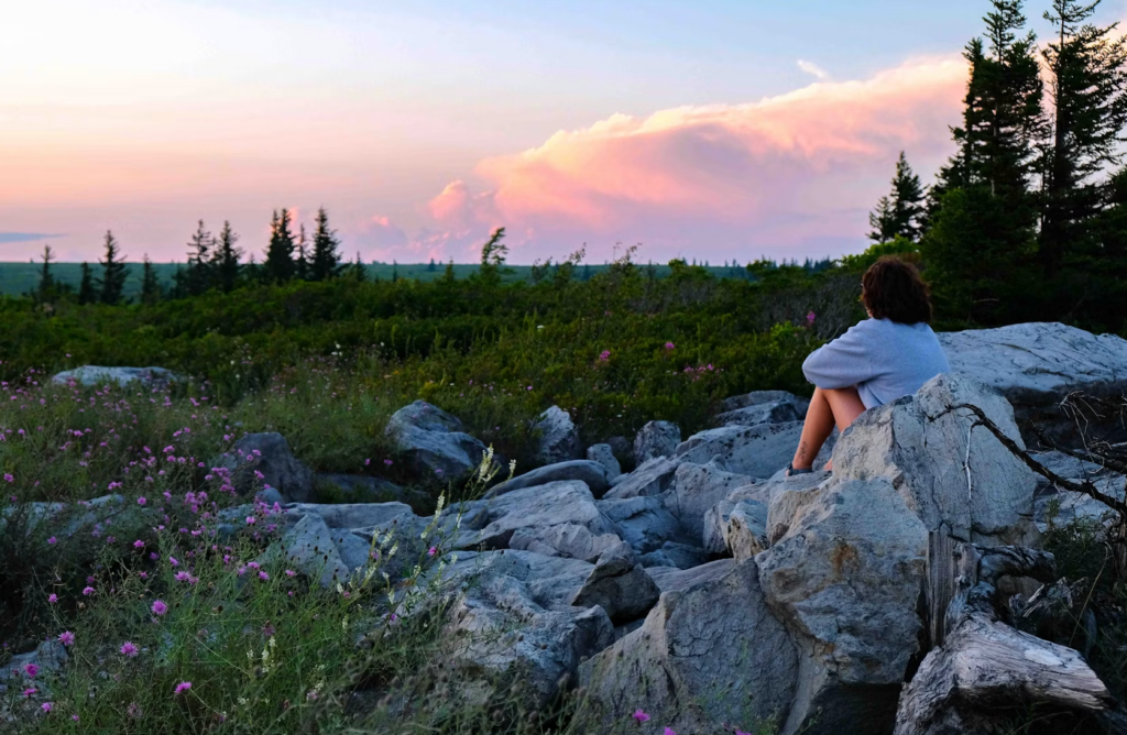 wilderness therapy